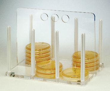 Petri Dish Rack, SCIENCEWARE®