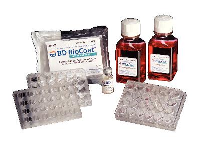 Corning® BioCoat™ HTS Caco-2 Assay Systems, Corning®