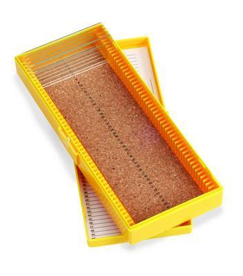 VWR® Microscope Slide Boxes, 50-Place