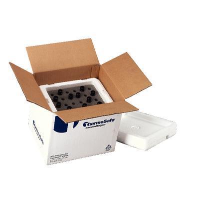 ThermoSafe® Foam Vial Shippers, ThermoSafe Brands