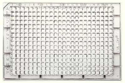 Immulon® Microtiter® 384-Well Plates, Thermo Scientific