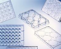 Cell Culture Multiwell Plates, Polystyrene, Greiner Bio-One