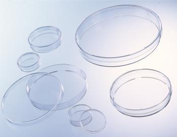 CELLSTAR® Tissue Culture Dishes, Polystyrene, Sterile, Greiner Bio-One