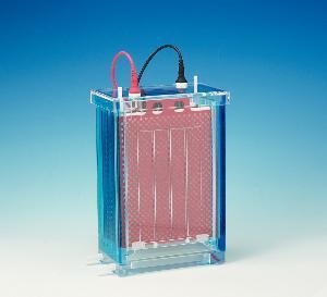 Electrophoretic Blotting Systems, C.B.S. Scientific