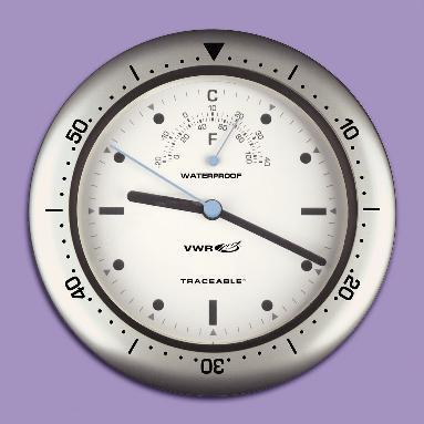 VWR® Indoor/Outdoor Clock