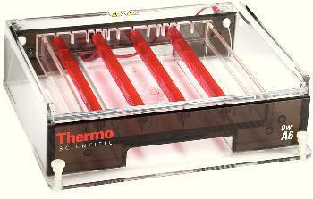 Owl Series Wide-Format Horizontal Gel System, Thermo Scientific