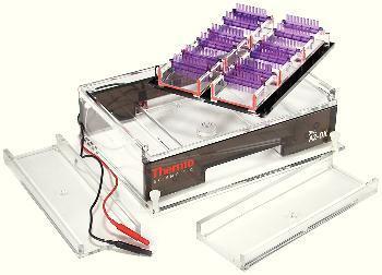 Owl Series EasyCast™ Multiple Minigel Electrophoresis System, Thermo Scientific