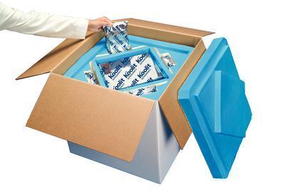 KoolTemp® GTS Prequalified Shippers, Cold Chain