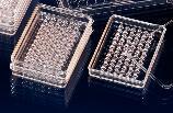 Nunclon™Δ 96-Well MicroWell™ Terasaki-Style Plates, Sterile, Thermo Scientific