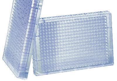 384-Well Deep Well Small Volume™ Microplate, Polypropylene, Greiner Bio-One