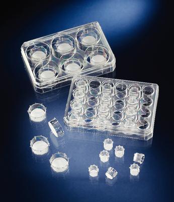 Nunclon™Δ MultiDish Inserts, Thermo Scientific