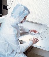 AlphaWipe® Cleanroom Wipers, ITW Texwipe®