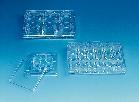 Nunclon™Δ MultiDishes, Sterile, Thermo Scientific