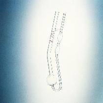 KIMAX® Viscometer Tube, Cannon-Fenske, Serialized, Uncalibrated, Kimble Chase