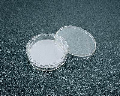 Transwell Dish Inserts, Polycarbonate, Sterile, Corning®