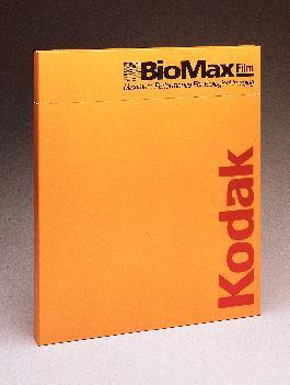 KODAK® BioMax® Maximum Sensitivity (MS) Autoradiography Film, Intensifying Screens, and Cassettes, Carestream Health