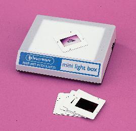 SCIENCEWARE® Mini Light Box II, Bel-Art