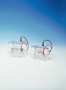 Vertical Mini Gel Systems, CBS Scientific