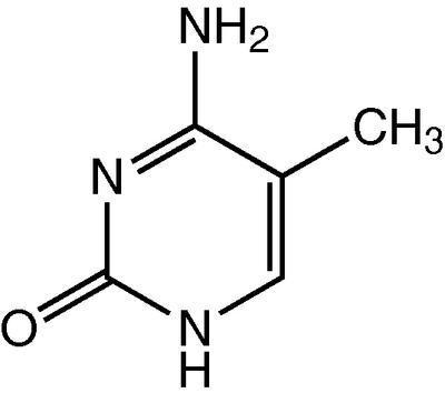 5-Methylcytosine, 97%