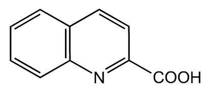 Quinaldic acid, 98%