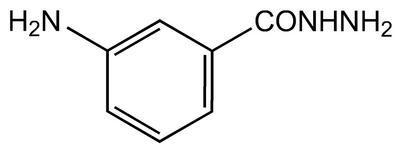 3-Aminobenzhydrazide, 97%