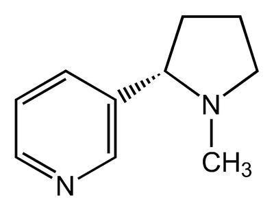 (S)-(-)-Nicotine, 99%