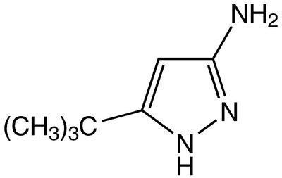 3-Amino-5-tert-butyl-1H-pyrazole, 98%