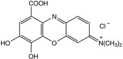 Gallocyanine