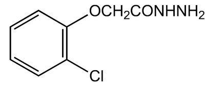 2-Chlorophenoxyacetic acid hydrazide, 98%