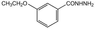 3-Ethoxybenzhydrazide, 98%