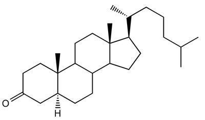 5α-Cholestan-3-one, 97%