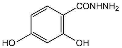 2,4-Dihydroxybenzhydrazide, 95%