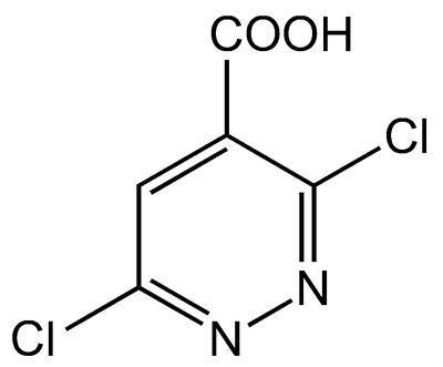 3,6-Dichloropyridazine-4-carboxylic acid, 98%