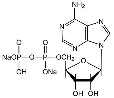 Adenosine-5'-diphosphate disodium salt, 97% (dry wt.), water 7% max.