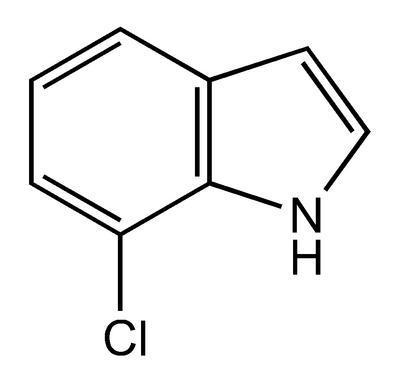 7-Chloroindole, 98%