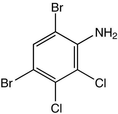 4,6-Dibromo-2,3-dichloroaniline, 98%