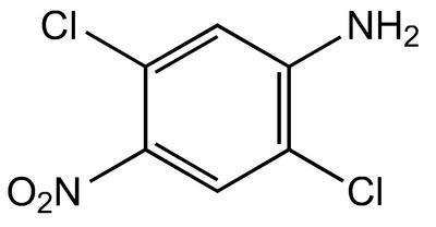 2,5-Dichloro-4-nitroaniline, 97%