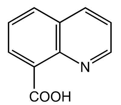 Quinoline-8-carboxylic acid, 98+%