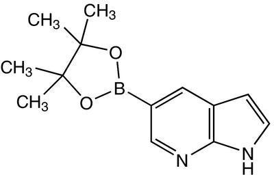 7-Azaindole-5-boronic acid pinacol ester, 97%