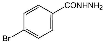 4-Bromobenzhydrazide, 98+%