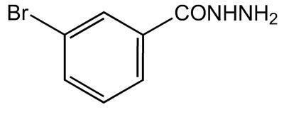 3-Bromobenzhydrazide, 98+%