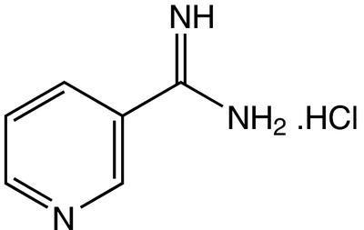 3-Amidinopyridine hydrochloride, 97%