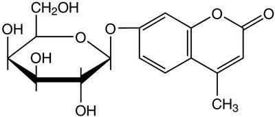 4-Methylumbelliferyl-β-D-galactopyranoside, 98%