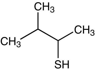 3-Methyl-2-butanethiol, 95%, remainder mainly 2-methyl-1-butanethiol