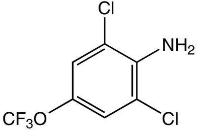 2,6-Dichloro-4-(trifluoromethoxy)aniline, 95%