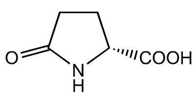 (R)-(+)-2-Pyrrolidinone-5-carboxylic acid, 98+%