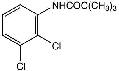 2',3'-Dichloro-2,2,2-trimethylacetanilide, 97%