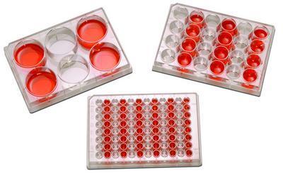 CellSmart Tissue Culture Plates, Argos Technologies