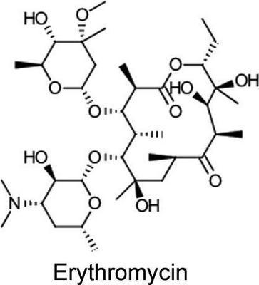 Erythromycin