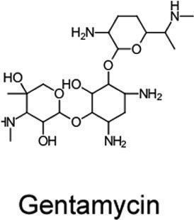 Gentamycin Sulfate TISSUE CULTURE GRADE